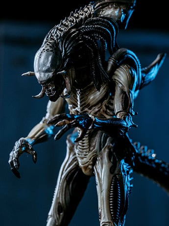 Alien vs. Predator: Requiem Predalien 1:18 Scale PX Previews Exclusive Figure Gallery Image 2