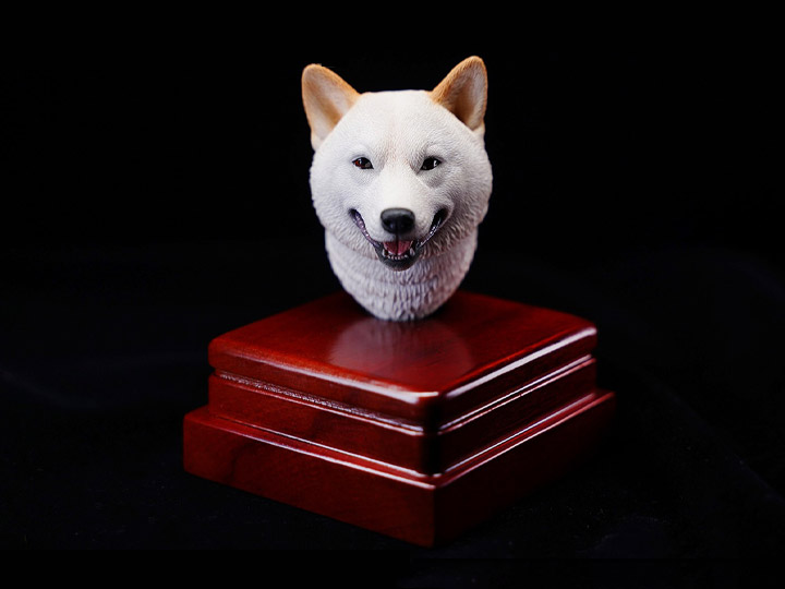 Shiba Inu Head (Ver. A) 1/6 Scale Accessory Gallery Image 1