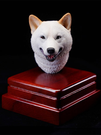 Shiba Inu Head (Ver. A) 1/6 Scale Accessory Gallery Image 2