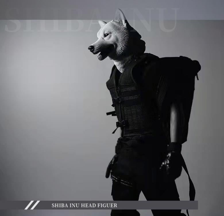 Shiba Inu Head (Ver. A) 1/6 Scale Accessory Gallery Image 4