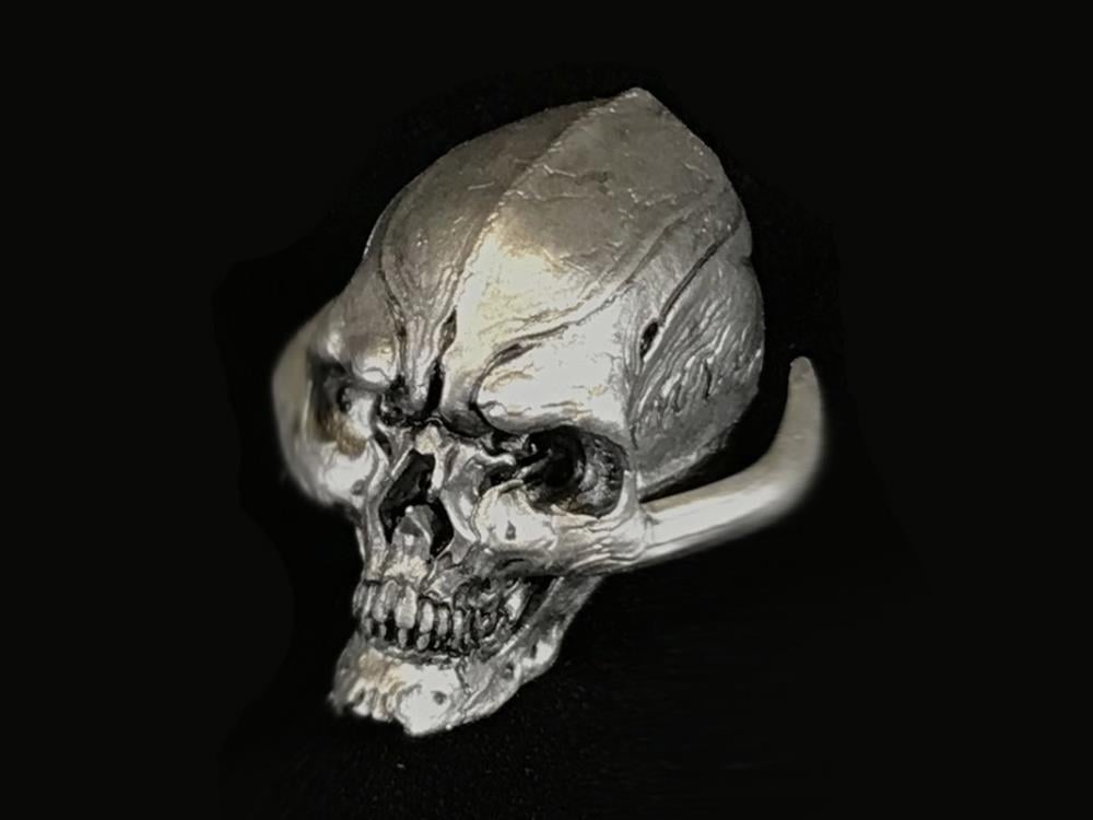 Cosmic Legions Coin and Skull (Silver) Exclusive Set Gallery Image 4