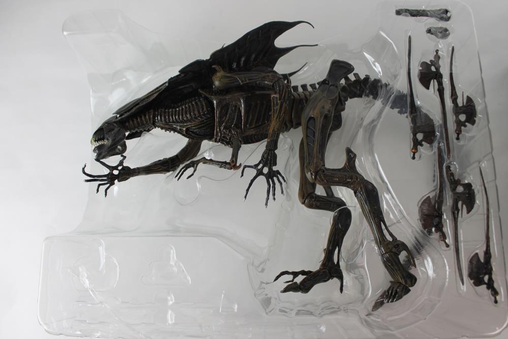 Defective Loot Box #0249 (DAMAGED - ALL SALES FINAL) Gallery Image 7