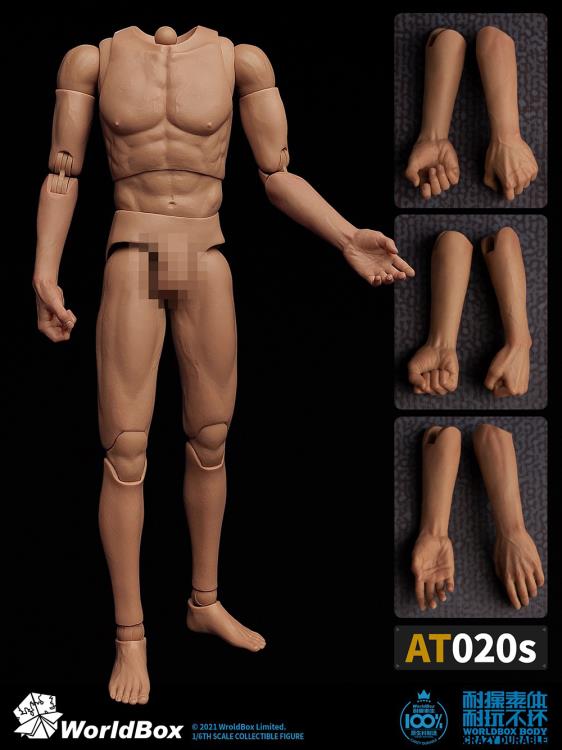 Crazy Durable Male 1/6 Scale Body (AT020s) Gallery Image 15