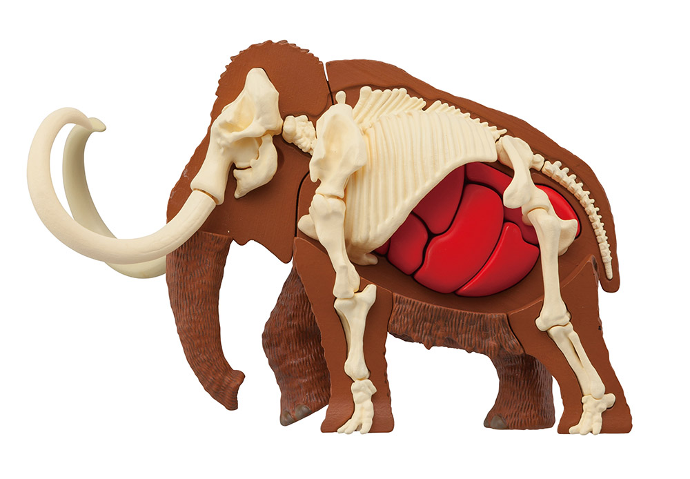 Mammoth Kaitai Puzzle Gallery Image 7
