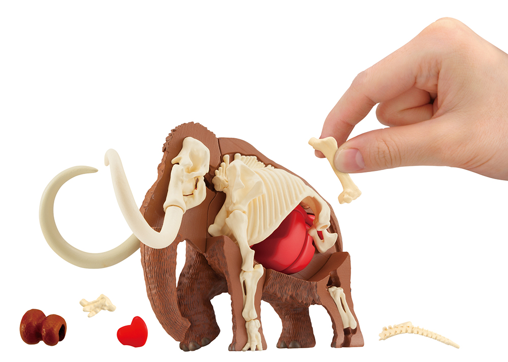 Mammoth Kaitai Puzzle Gallery Image 9