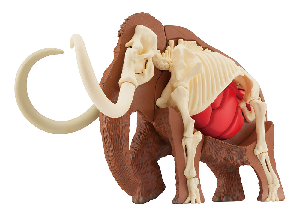 Mammoth Kaitai Puzzle Gallery Image 6