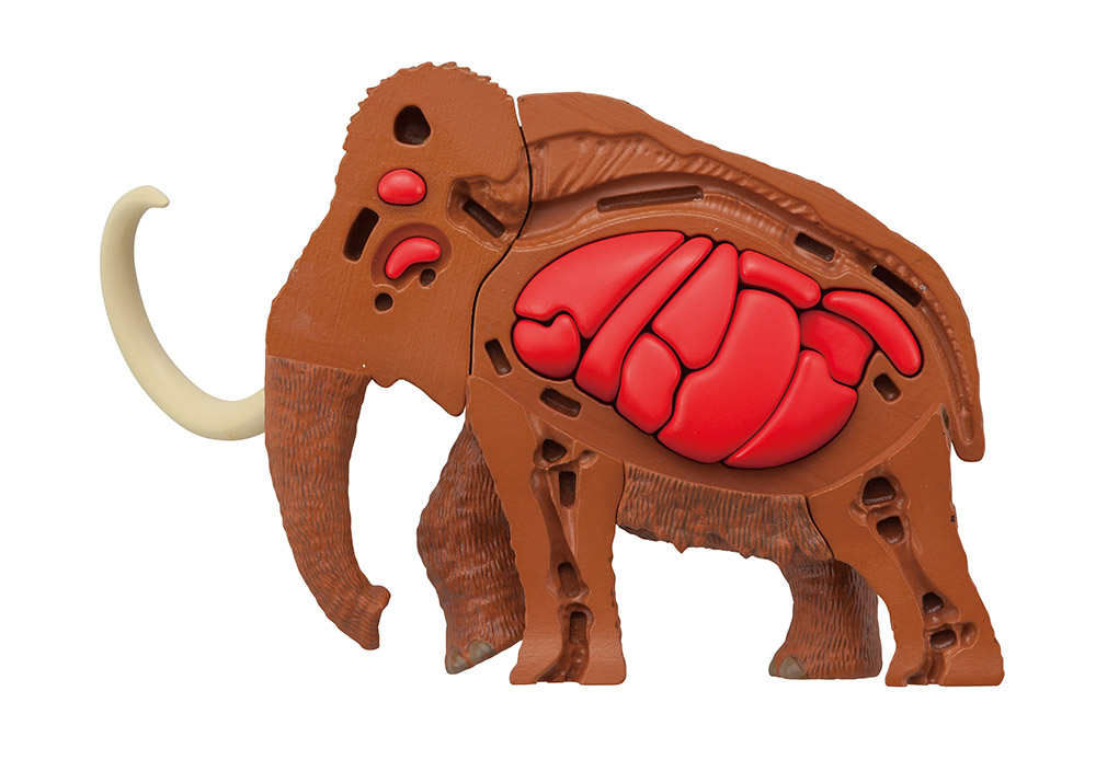 Mammoth Kaitai Puzzle Gallery Image 8