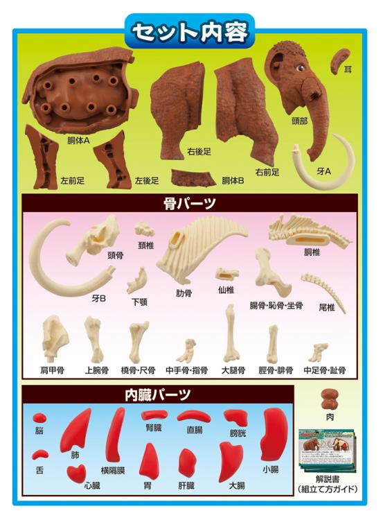 Mammoth Kaitai Puzzle Gallery Image 14