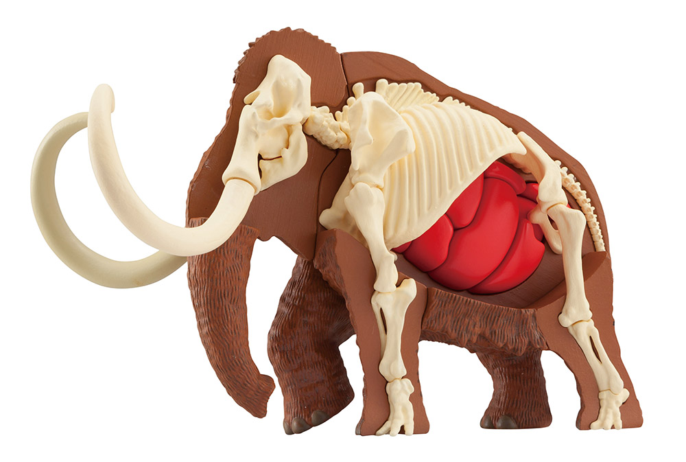 Mammoth Kaitai Puzzle Gallery Image 3