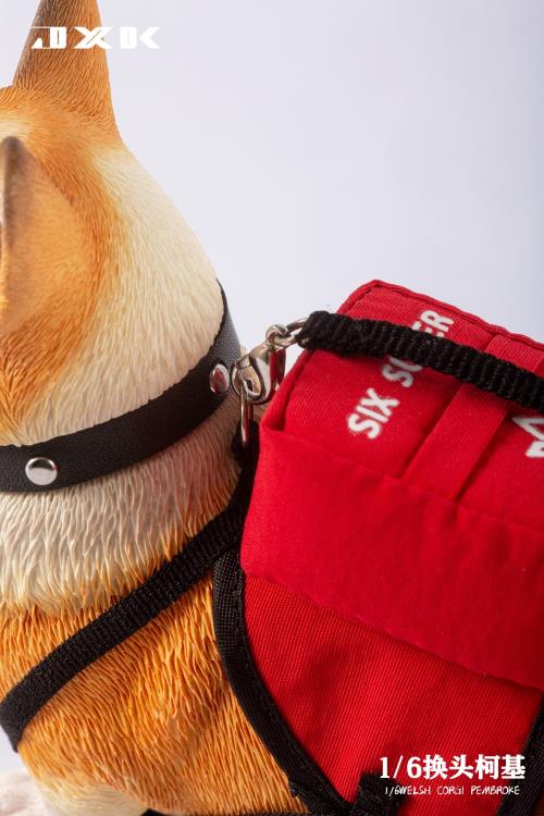 Welsh Pembroke Corgi 1/6 Scale Figure (Ver. A) Gallery Image 12