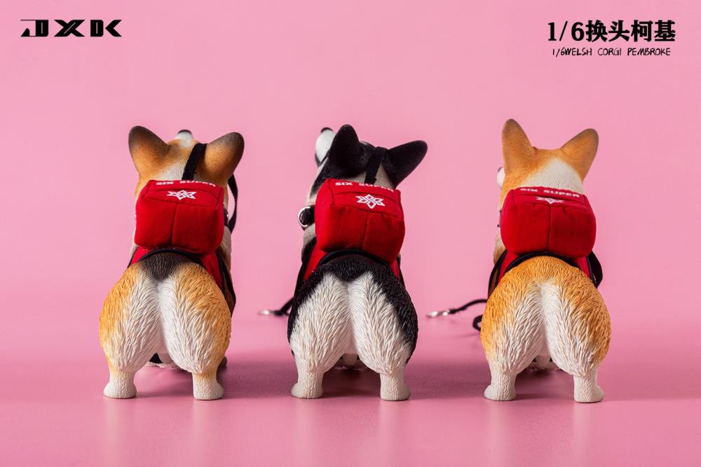 Welsh Pembroke Corgi 1/6 Scale Figure (Ver. A) Gallery Image 14