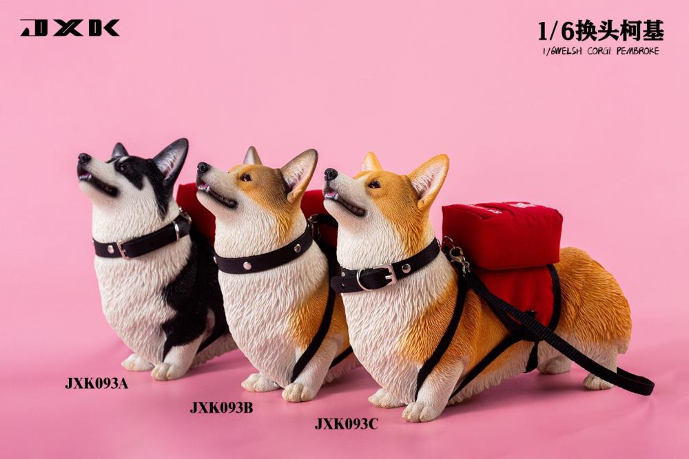 Welsh Pembroke Corgi 1/6 Scale Figure (Ver. A) Gallery Image 13