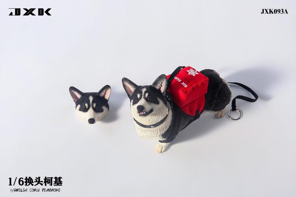 Welsh Pembroke Corgi 1/6 Scale Figure (Ver. A) Gallery Image 6
