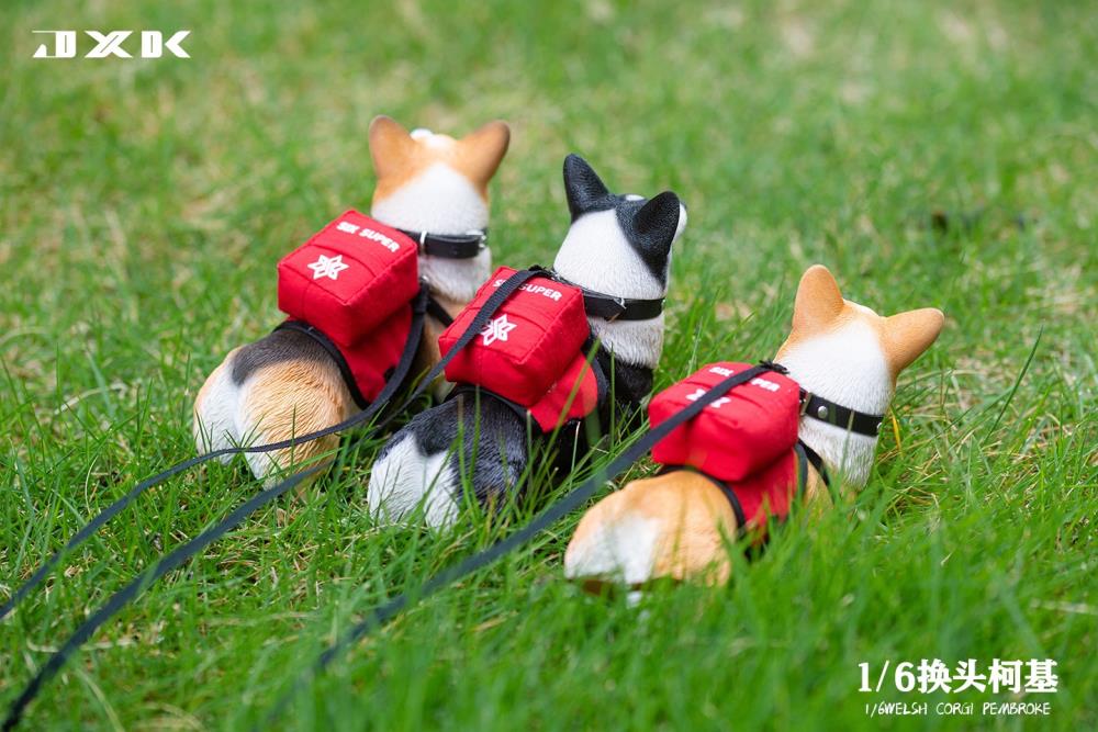 Welsh Pembroke Corgi 1/6 Scale Figure (Ver. A) Gallery Image 10