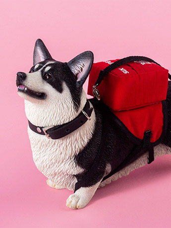 Welsh Pembroke Corgi 1/6 Scale Figure (Ver. A) Gallery Image 2