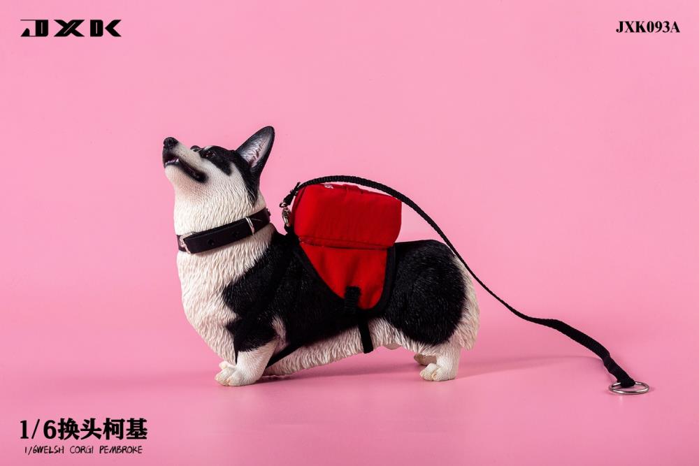 Welsh Pembroke Corgi 1/6 Scale Figure (Ver. A) Gallery Image 4
