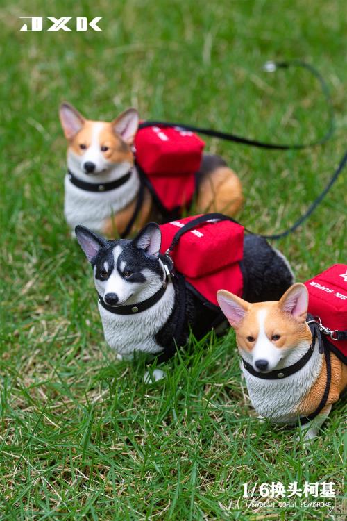 Welsh Pembroke Corgi 1/6 Scale Figure (Ver. A) Gallery Image 9