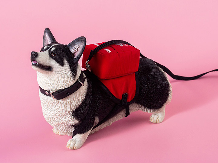 Welsh Pembroke Corgi 1/6 Scale Figure (Ver. A) Gallery Image 1
