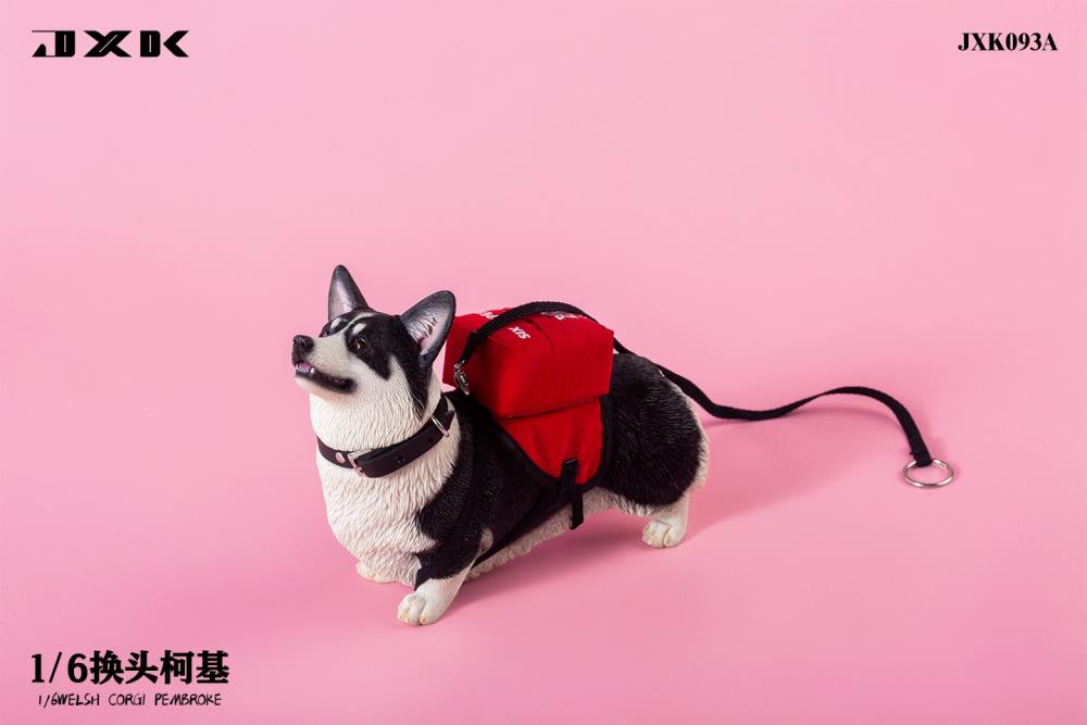 Welsh Pembroke Corgi 1/6 Scale Figure (Ver. A) Gallery Image 3