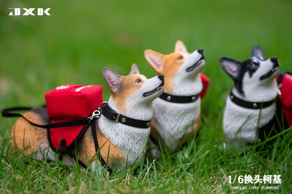 Welsh Pembroke Corgi 1/6 Scale Figure (Ver. A) Gallery Image 11