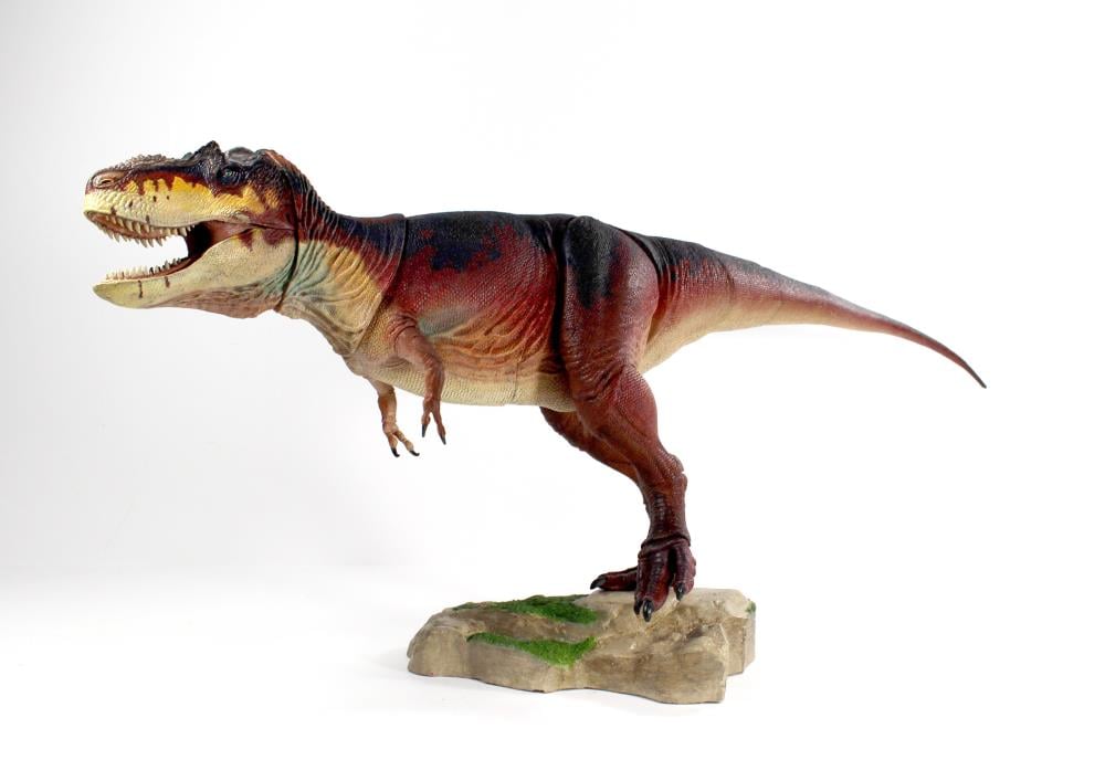 Beasts of the Mesozoic: Tyrannosaur Series Daspletosaurus torosus