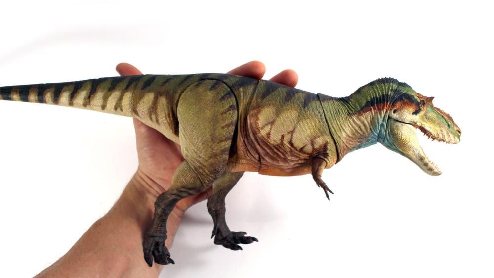 Beasts of the Mesozoic: Tyrannosaur Series Albertosaurus sarcophagus 1/18 Scale Figure Gallery Image 5
