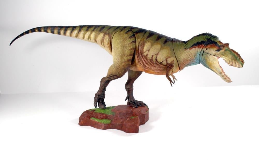 Beasts of the Mesozoic: Tyrannosaur Series Albertosaurus sarcophagus 1/18 Scale Figure Gallery Image 4