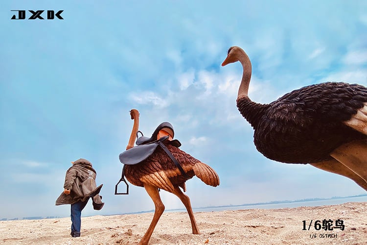 Ostrich (Ver. B2) 1/6 Scale Figure Gallery Image 6