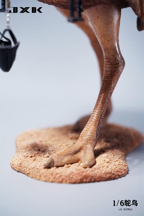 Ostrich (Ver. B2) 1/6 Scale Figure Gallery Image 5