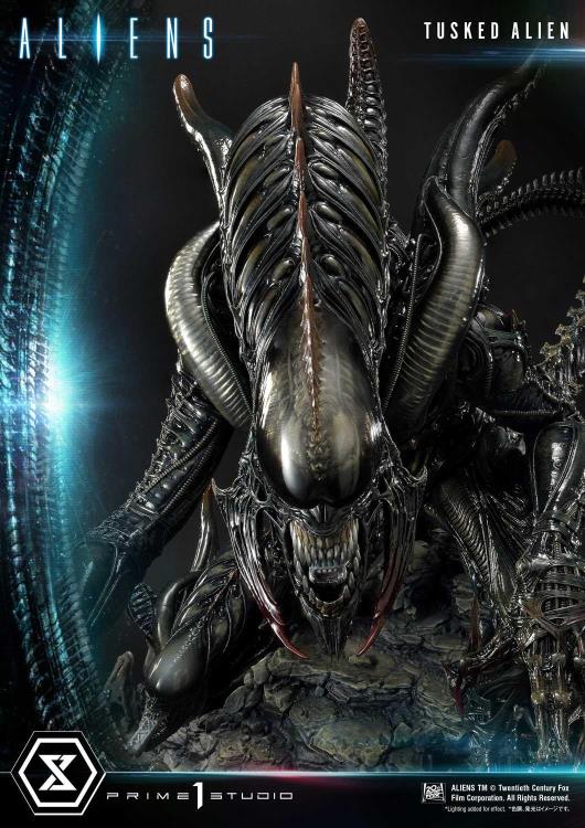 Aliens Premium Masterline Tusked Alien Statue Gallery Image 45