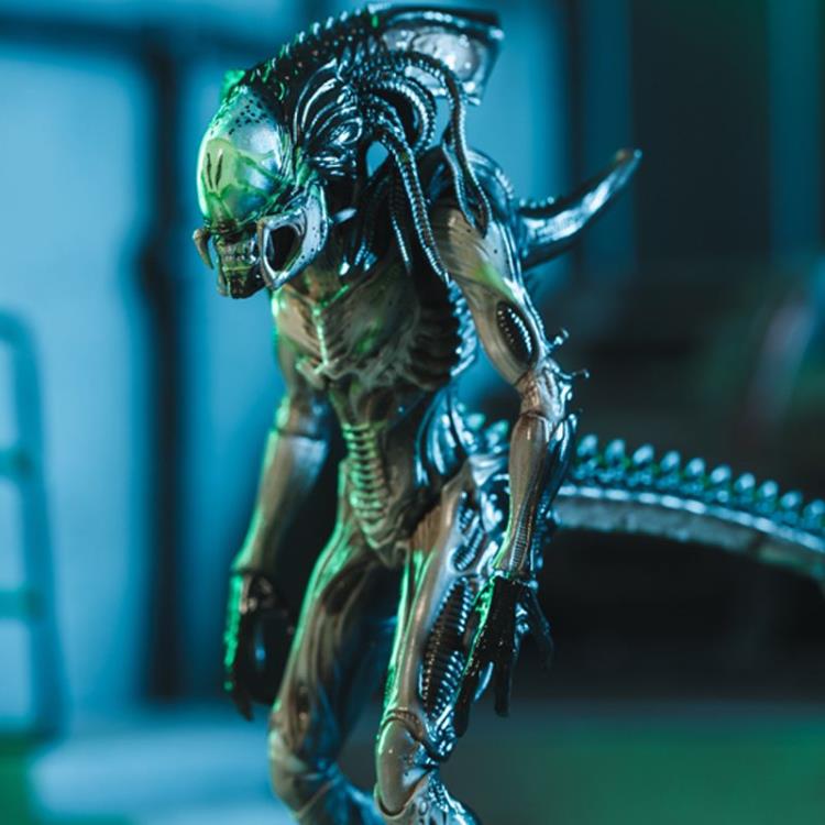 Alien vs. Predator: Requiem Predalien (Battle Damaged) 1:18 Scale PX Previews Exclusive Figure Gallery Image 4