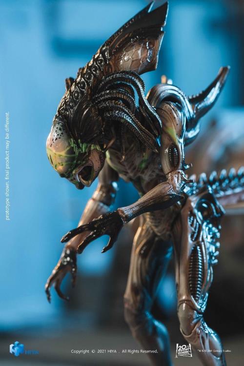 Alien vs. Predator: Requiem Predalien (Battle Damaged) 1:18 Scale PX Previews Exclusive Figure Gallery Image 6