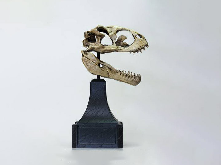 King Kong (2005) Venatosaurus Skull Limited Edition Replica Gallery Image 1