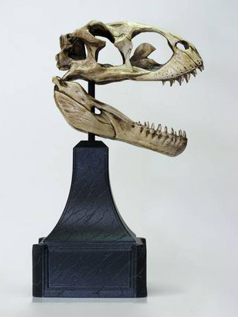 King Kong (2005) Venatosaurus Skull Limited Edition Replica Gallery Image 2