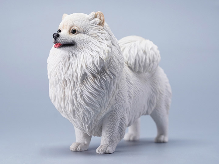 Pomeranian (Ver. A) 1/6 Scale Figure