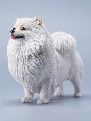 Pomeranian (Ver. A) 1/6 Scale Figure