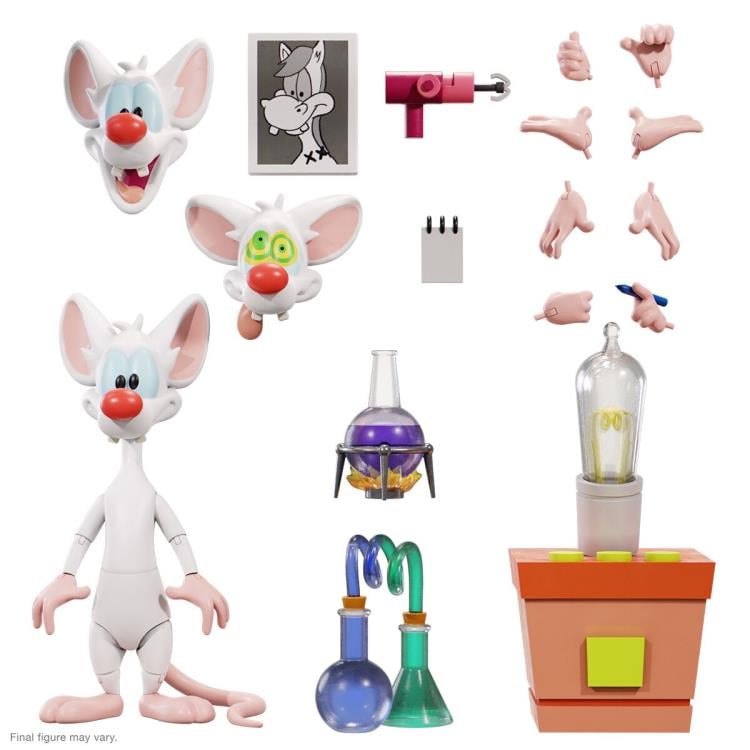 Animaniacs ULTIMATES! Wave 1 Set of 5 Action Figures