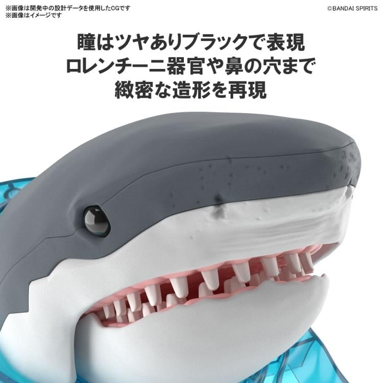 Exploring Lab Nature Shark Model Kit Gallery Image 4