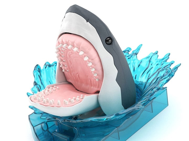Exploring Lab Nature Shark Model Kit Gallery Image 1