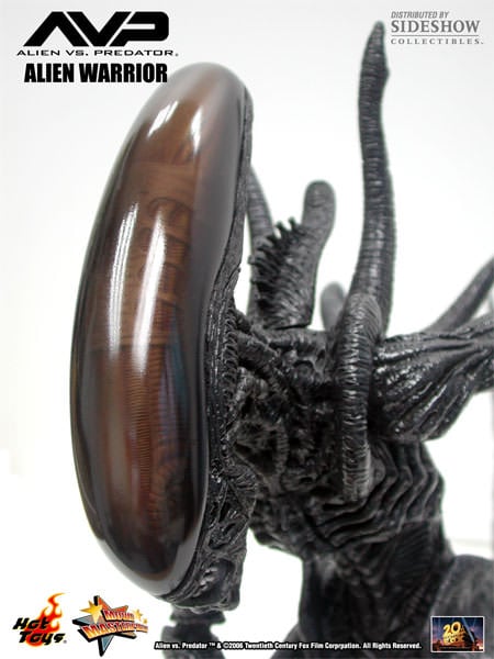 Alien vs. Predator MMS17 Alien Warrior 1/6th Scale Collectible Figure Gallery Image 9