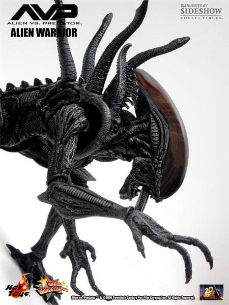 Alien vs. Predator MMS17 Alien Warrior 1/6th Scale Collectible Figure Gallery Image 11
