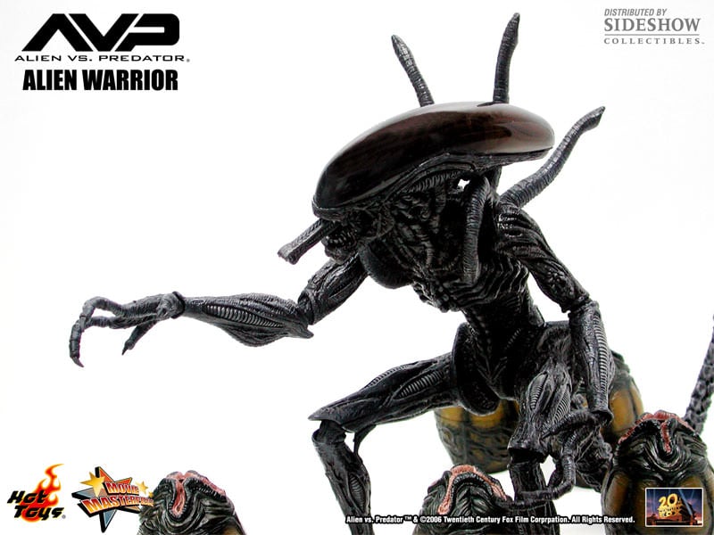 Alien vs. Predator MMS17 Alien Warrior 1/6th Scale Collectible Figure Gallery Image 12