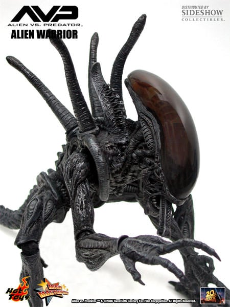 Alien vs. Predator MMS17 Alien Warrior 1/6th Scale Collectible Figure Gallery Image 8