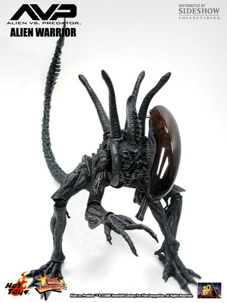 Alien vs. Predator MMS17 Alien Warrior 1/6th Scale Collectible Figure Gallery Image 5