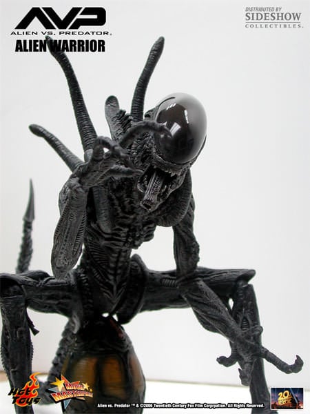Alien vs. Predator MMS17 Alien Warrior 1/6th Scale Collectible Figure Gallery Image 6