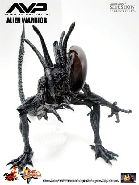 Alien vs. Predator MMS17 Alien Warrior 1/6th Scale Collectible Figure Gallery Image 4