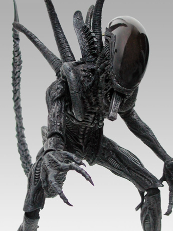 Alien vs. Predator MMS17 Alien Warrior 1/6th Scale Collectible Figure Gallery Image 2