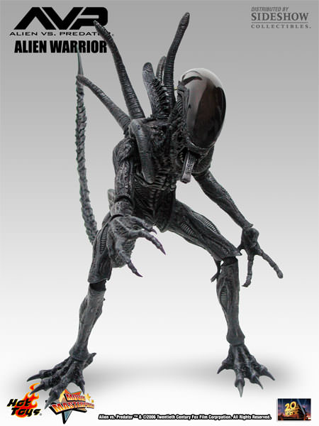 Alien vs. Predator MMS17 Alien Warrior 1/6th Scale Collectible Figure Gallery Image 3
