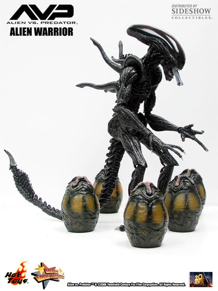 Alien vs. Predator MMS17 Alien Warrior 1/6th Scale Collectible Figure Gallery Image 13