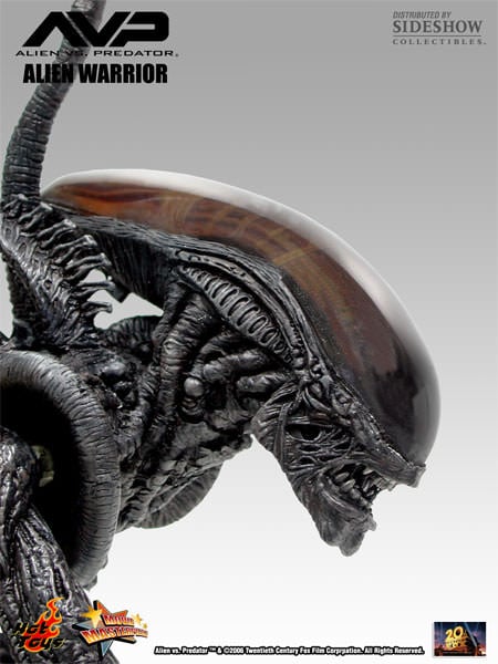 Alien vs. Predator MMS17 Alien Warrior 1/6th Scale Collectible Figure Gallery Image 10